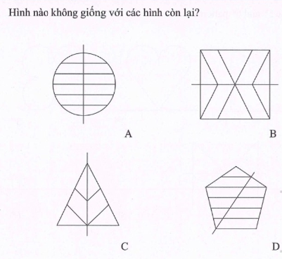 test_cloud_file?fid=ae899817-66c3